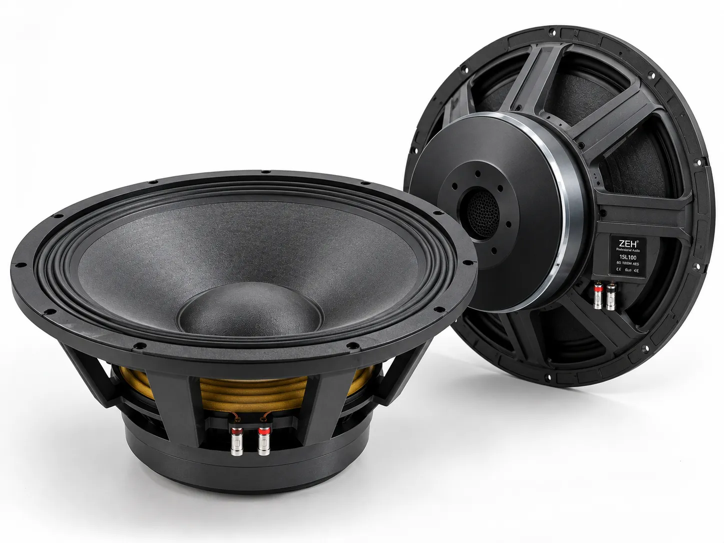 Custom Large-size Speaker for a Cinema Screen Channel System