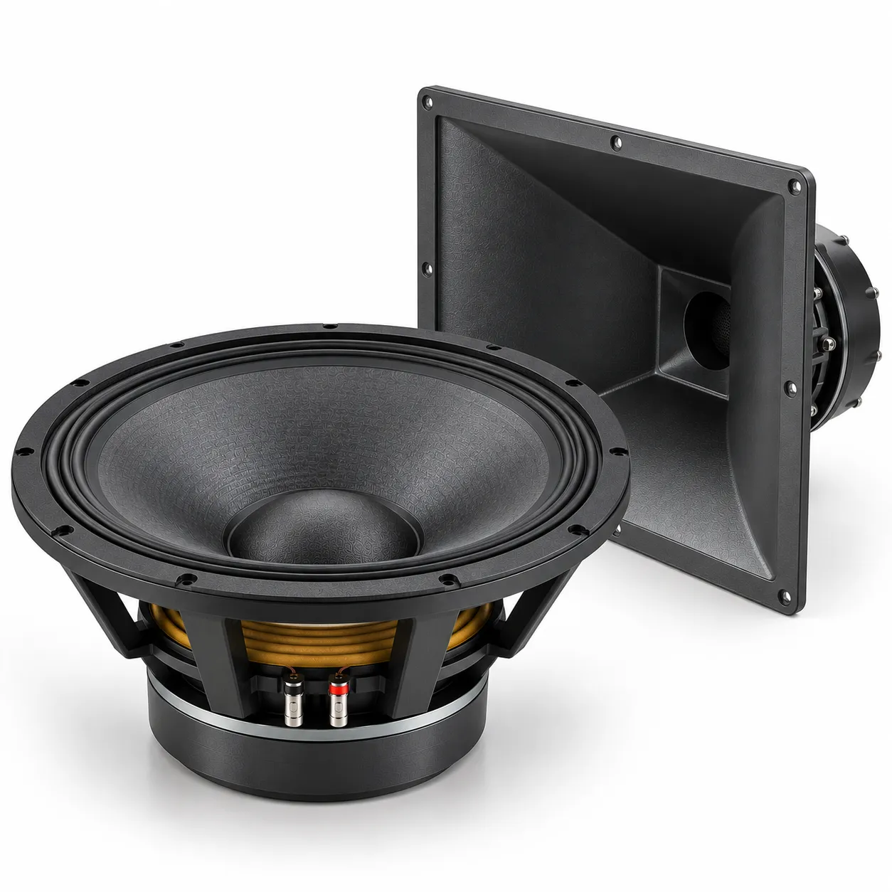 Custom Large-size Speaker for a House of Worship/Auditorium System